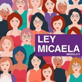 Ley Micaela. Módulo II