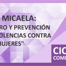 Ley Micaela