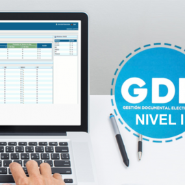 GDE NIVEL II