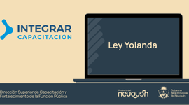 Ley Yolanda
